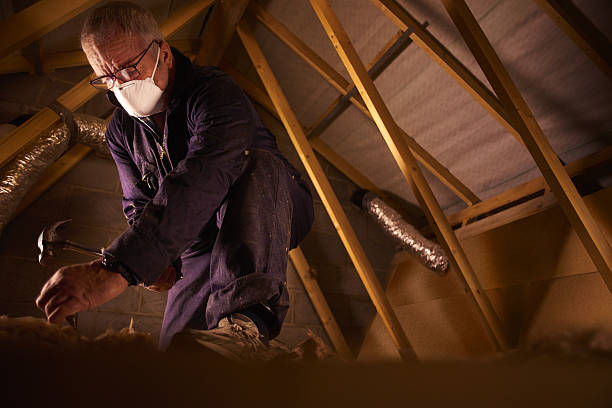Best Geographic-Specific Insulation Services in Elkhart, IN